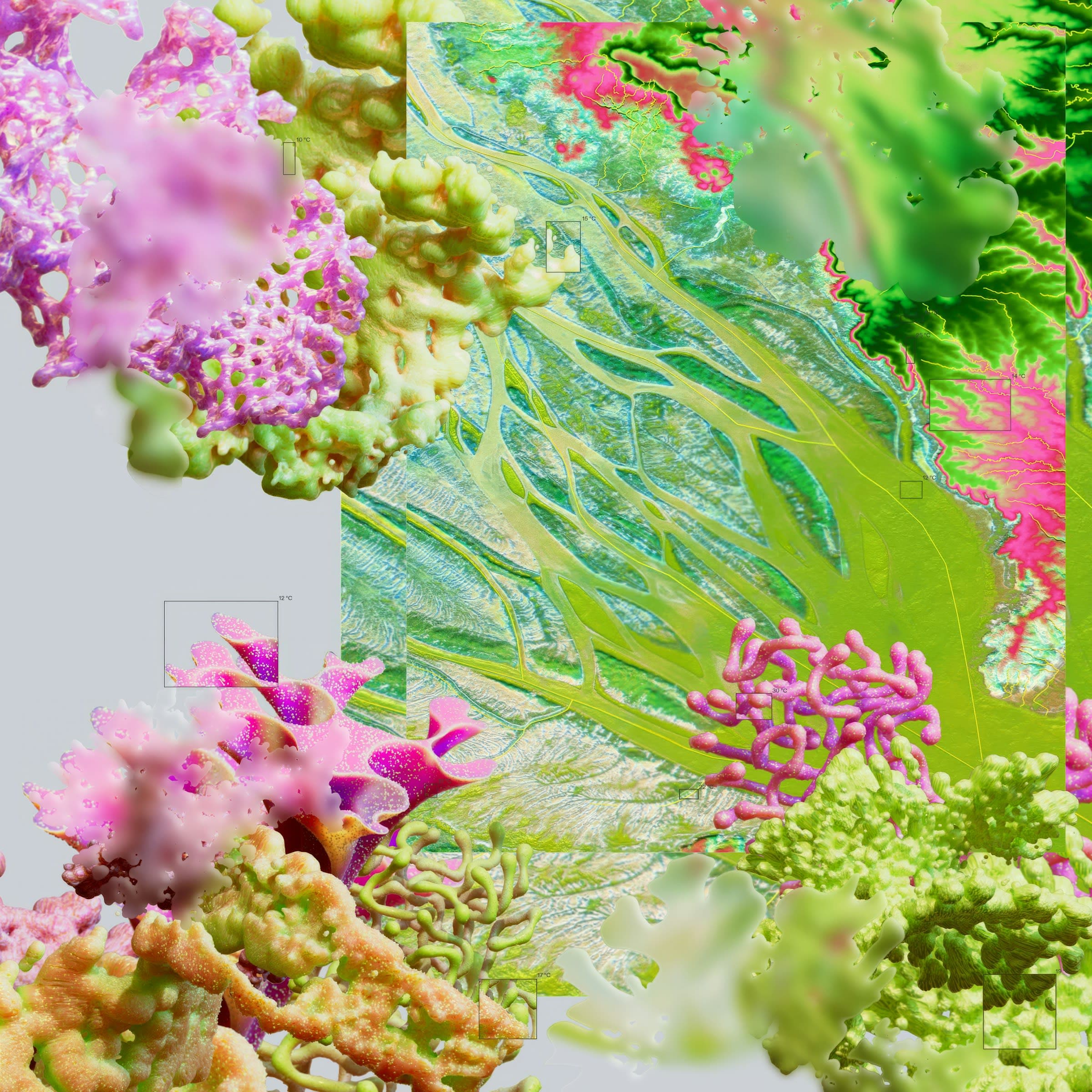 Colorful painted flowers in an artist's illustration of AI from Google DeepMind's Visualising AI project